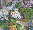 Chrysanthemums Pots by Marion Broom (pg405)